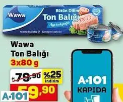 WAWA TON BALIĞI WAWA TON BALIĞI